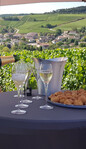 Champagne Philippe Fourrier - 1