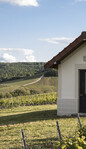 Champagne Philippe Fourrier - 2