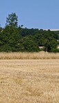 Promenade Beaufortine - 1