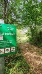 Le sentier des brebis - 3