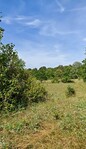 Le sentier des brebis - 4