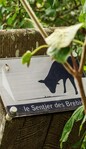 Le sentier des brebis - 6