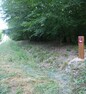 Sur les traces des Templiers en Forêt d’Orient - 7