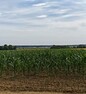 Le sentier des brebis - 7