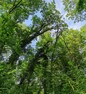 Le sentier des brebis - 8