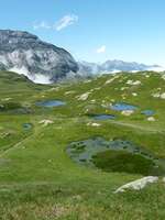 Sortie Natura 2000 "Visite du cirque de Troumouse à travers ses richesses naturelles et culturelles" Sortie Natura 2000 "Visite du cirque de Troumouse à travers ses richesses naturelles et culturelles"