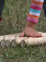 Initiation au "Kubb" Initiation au "Kubb"