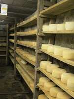Fabrication traditionnelle de la tomme des Pyrénées Fabrication traditionnelle de la tomme des Pyrénées