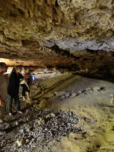 Balade préhisto’ « Du Musée aux grottes » Balade préhisto’ « Du Musée aux grottes »