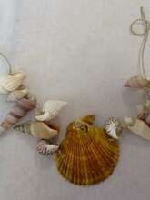 Atelier préhisto’ « Collier en coquillage » Atelier préhisto’ « Collier en coquillage »