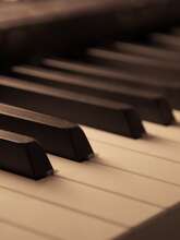 Concert Concert