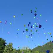 FÊTE DE L'ÉTÉ FÊTE DE L'ÉTÉ
