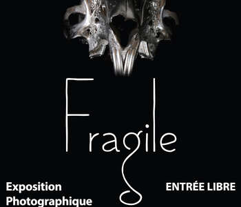 Exposition photo au Muséum : « Fragile » Exposition photo au Muséum : « Fragile »