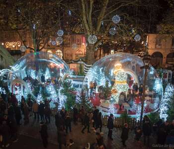 Des Lyres d’hiver Des Lyres d’hiver