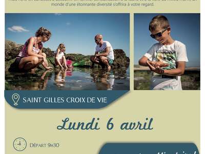 VISITE GUIDÉE "PÊCHE A PIED" VISITE GUIDÉE "PÊCHE A PIED"