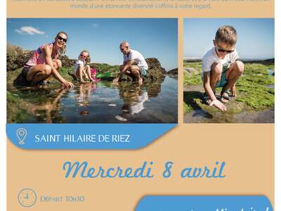 PÊCHE À PIED - 08.04 PÊCHE À PIED - 08.04