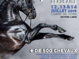 Les Rencontres Equestres Les Rencontres Equestres