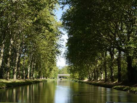 Canal du Midi: Carcassonne-Trèbes Canal du Midi: Carcassonne-Trèbes