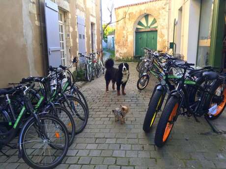 LES VÉLOS DE MATHILDE LES VÉLOS DE MATHILDE