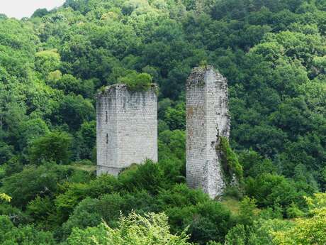 Les Tours de Carbonnières Les Tours de Carbonnières