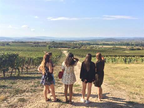 Excursion privée en minibus - Journée - Château de Lastours, Minerve, dégustation de vins & Canal du Midi - F/GB (Copie) Excursion privée en minibus - Journée - Château de Lastours, Minerve, dégustation de vins & Canal du Midi - F/GB (Copie)