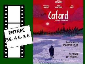 Cafard - club Cinéphiles Cafard - club Cinéphiles