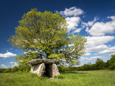 Dolmens et Mégalithes du Lot Dolmens et Mégalithes du Lot