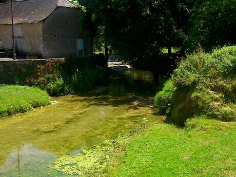 Les bords du Coly en VTT Les bords du Coly en VTT