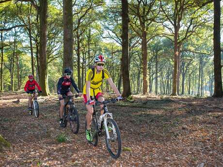 VTT N°2 VTT N°2