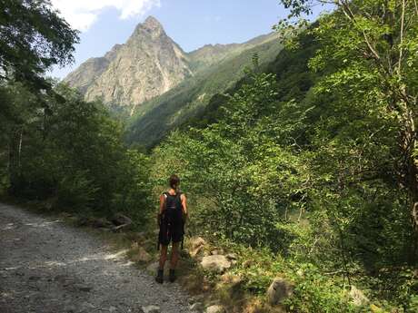 L'étang et le refuge d'En Beys L'étang et le refuge d'En Beys