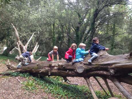 STAGE DE PÉDAGOGIE PAR LA NATURE POUR LES PETITS ROBINSONS PAR L'ÉCOLE BUISSONIÈRE STAGE DE PÉDAGOGIE PAR LA NATURE POUR LES PETITS ROBINSONS PAR L'ÉCOLE BUISSONIÈRE