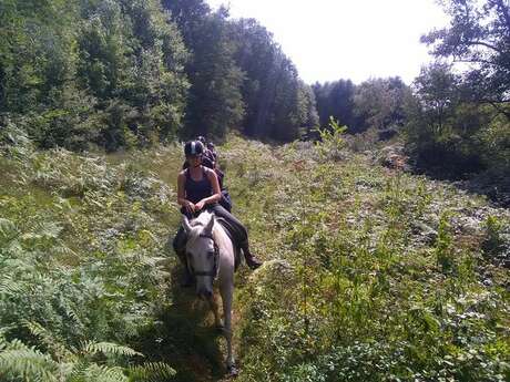 Centre équestre Au Pré des Chevaux Centre équestre Au Pré des Chevaux