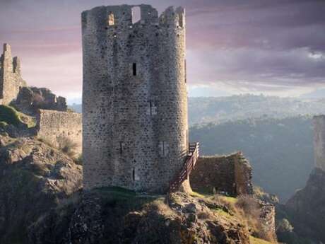 VISITE COMMENTÉE DES CHÂTEAUX VISITE COMMENTÉE DES CHÂTEAUX
