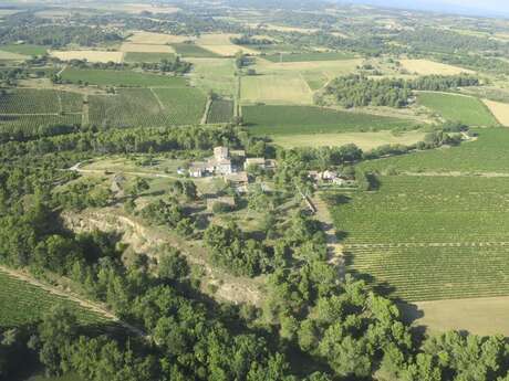 Domaine de Cantalauze Domaine de Cantalauze