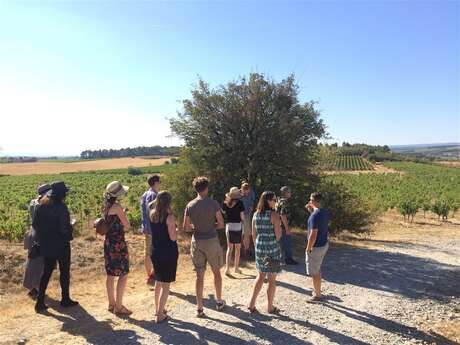 Excursion privée en minibus - Journée - Visite de 3 vignobles & Dégustation de vins - F/GB Excursion privée en minibus - Journée - Visite de 3 vignobles & Dégustation de vins - F/GB