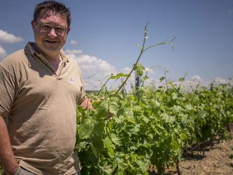 Dégustation des vins avec vue sur le quai de déchargement et des cuves - Vignobles de Carsac Dégustation des vins avec vue sur le quai de déchargement et des cuves - Vignobles de Carsac