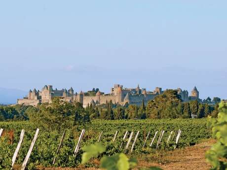 Sur le chemin de St Jacques : de Carcassonne à Fanjeaux Sur le chemin de St Jacques : de Carcassonne à Fanjeaux