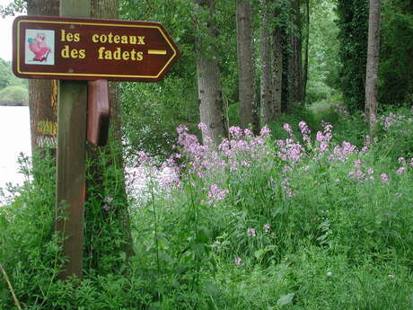 Les Coteaux des Fadets / Boucle 4 Les Coteaux des Fadets / Boucle 4