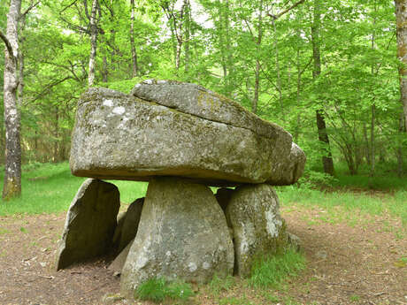 Circuit de randonnée : Dolmen d'Urbe Circuit de randonnée : Dolmen d'Urbe