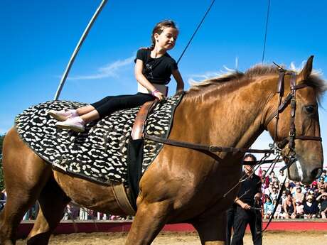 ARDEVAC VOLTIGE A CHEVAL ARDEVAC VOLTIGE A CHEVAL