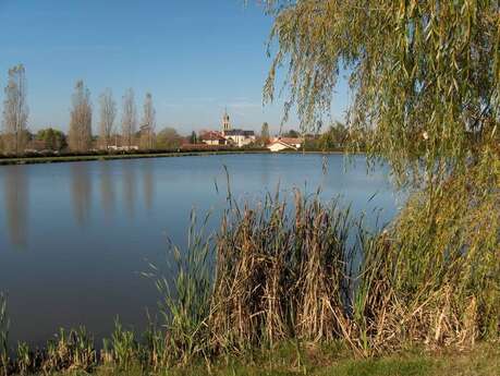 Plan d’eau Plan d’eau