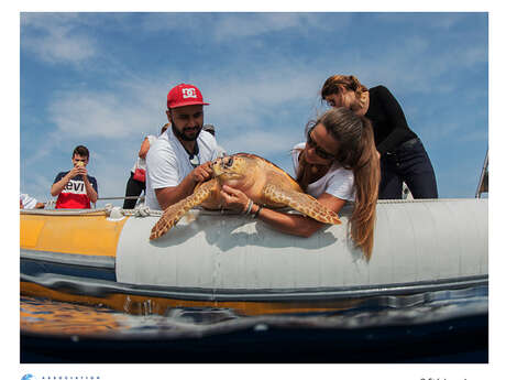 Exposition photos à Marineland Exposition photos à Marineland