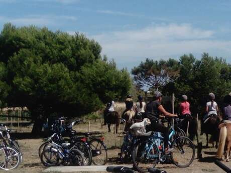 PONEY CLUB DU PHARE PONEY CLUB DU PHARE
