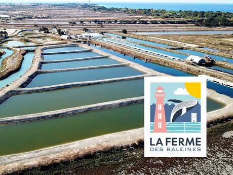 LA FERME DES BALEINES LA FERME DES BALEINES