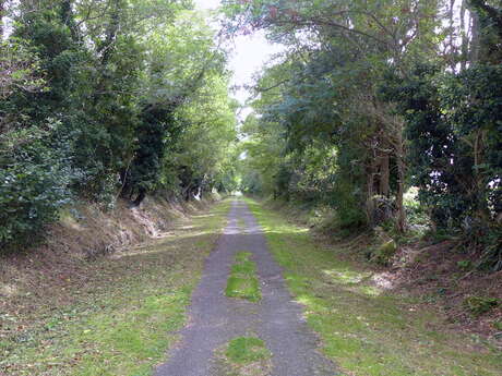 Cycling path 6 : Between the Arnoult Valley and the Channel Charente-Seudre - 9 mi Cycling path 6 : Between the Arnoult Valley and the Channel Charente-Seudre - 9 mi