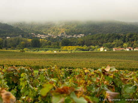Rando dans le vignoble de Cahors - 5 jours à cheval Rando dans le vignoble de Cahors - 5 jours à cheval