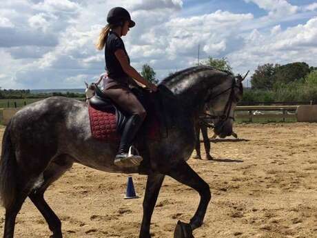 Ecole d'équitation du Bélice Ecole d'équitation du Bélice