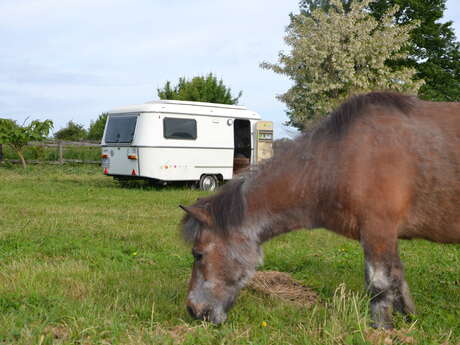 Camping La Vallée des Cerfs Camping La Vallée des Cerfs