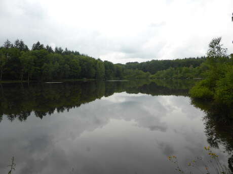 Circuit de Bertramenil Etang du Bult Circuit de Bertramenil Etang du Bult
