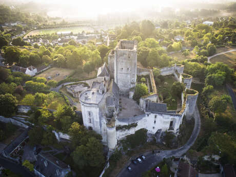 Cité royale de Loches Cité royale de Loches